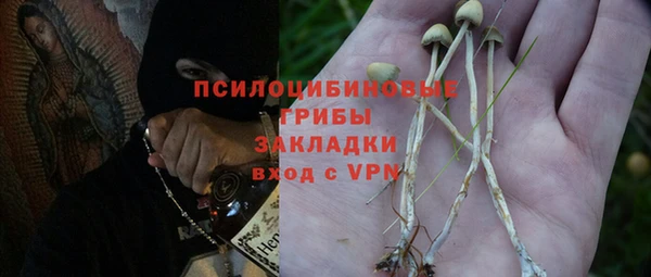 метадон Козельск