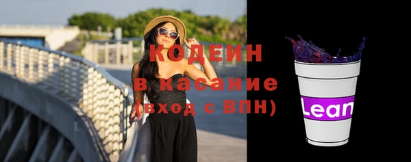 сатива Чердынь