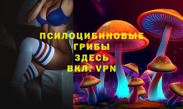ешки Кинешма