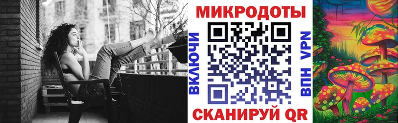 Купить  Дагестанские Огни  Псилоцибиновые грибы Cubensis 